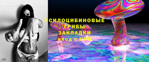 индика Дрезна