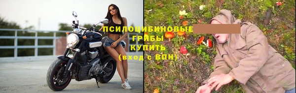 индика Дрезна