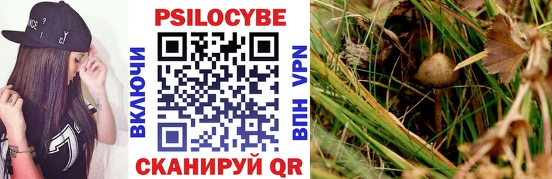 Псилоцибиновые грибы MAGIC MUSHROOMS  omg вход  Калязин 