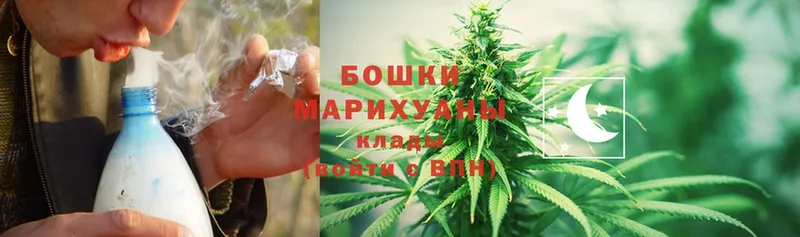 Канабис OG Kush  Калязин 